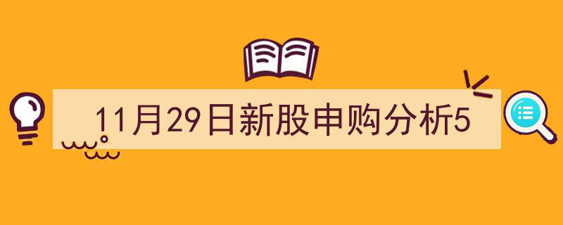 11月29日新股申购深度分析,第五轮精选策略揭秘"/