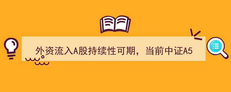 外资流入A股势头强劲，中证A50配置价值凸显——揭秘股市新动向｜钛牛了，股市！"/
