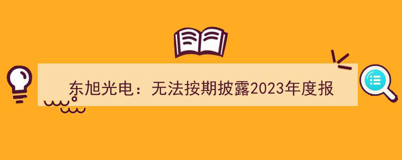 东旭光电面临困境,2023年报及2024Q1财报披露延期"/