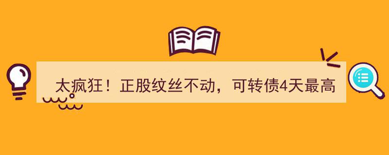 太疯狂！正股稳如泰山，可转债4日狂飙超136%，上市公司频发风险提示仍难挡涨势"/