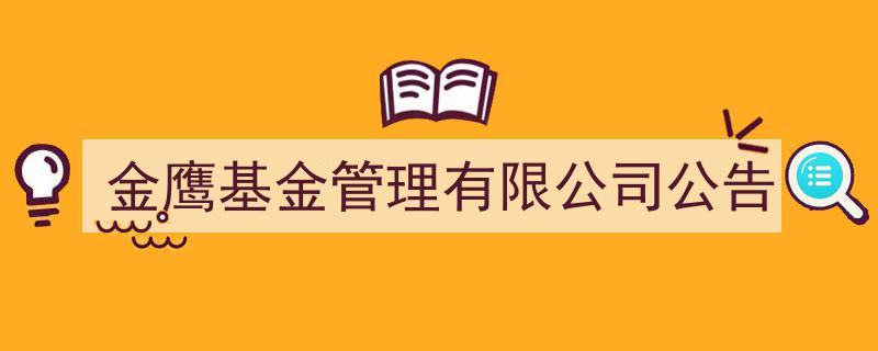 金鹰基金管理有限公司最新公告解读,重要信息一览"/