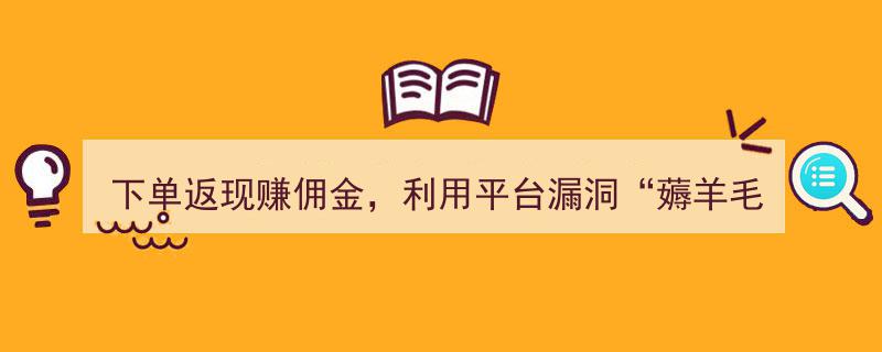 下单返现赚佣金，平台漏洞“薅羊毛”行为涉嫌触“刑”法律红线？"/