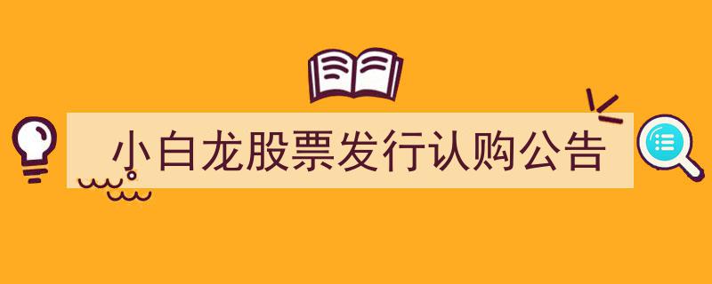 小白龙股票发行认购盛大启幕！官方公告揭晓详情"/