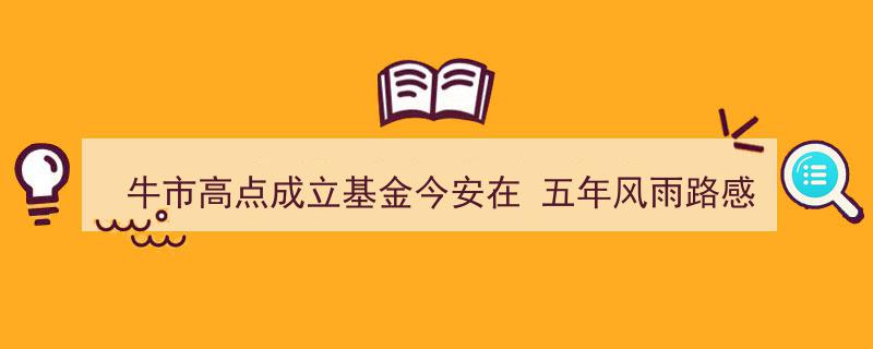 牛市高点成立基金今安在？五年风雨路感悟投资艰辛与成长"/
