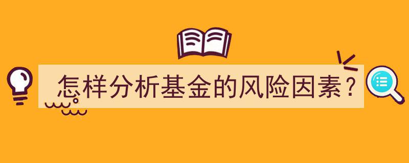 深入解析,怎样分析基金的风险因素与应对策略"/