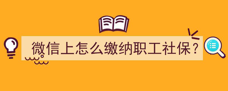 微信轻松操作,教你如何在线缴纳职工社保费用"/