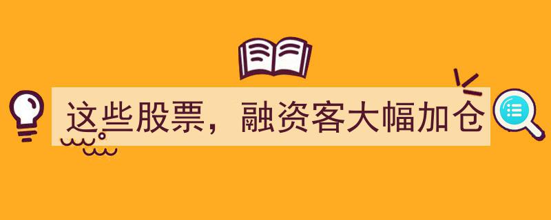 融资客激增加仓，这些股票成为关注焦点"/