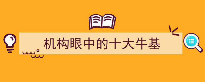 机构视角下的十大耀眼牛基盘点"/