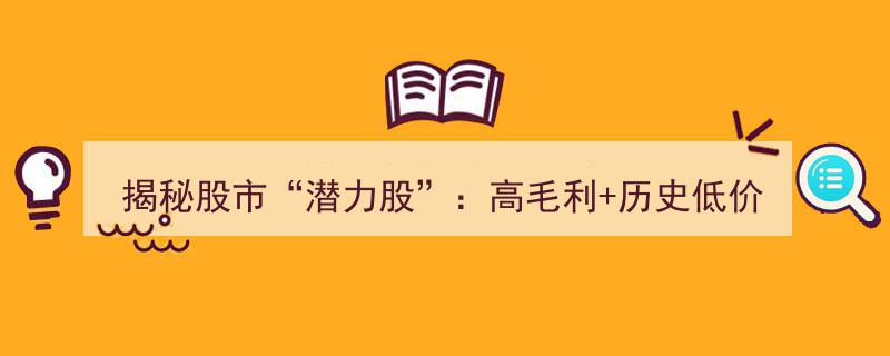 揭秘股市“潜力股”,聚焦高毛利与历史低价，这些公司投资价值不容忽视！"/