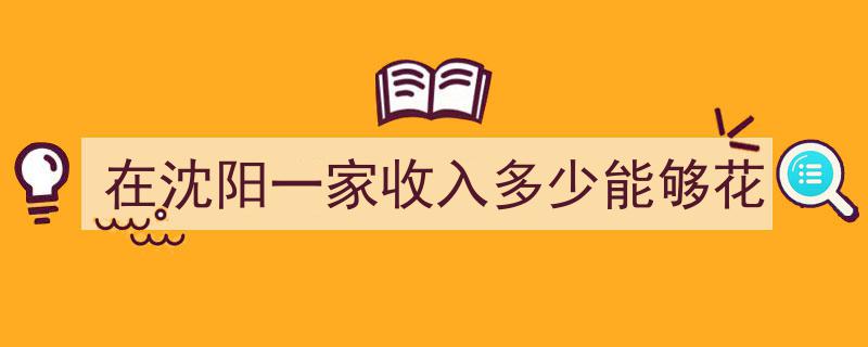 沈阳生活成本揭秘,月收入多少才能畅快消费？"/