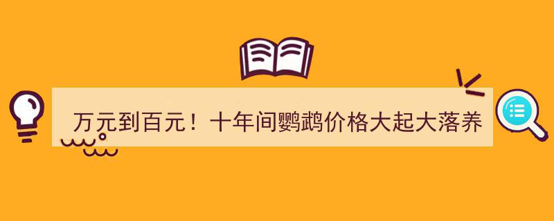 十年风云录,鹦鹉价格从万元跌至百元，养殖户心酸泪诉,市场幕后黑手究竟是谁？"/