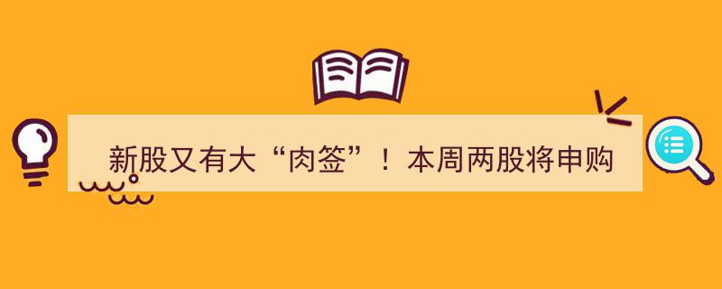 本周新股申购盛宴再启！两大“肉签”股即将登场"/