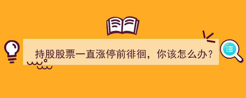 持股股票突现涨停前徘徊，投资者应对策略解析"/